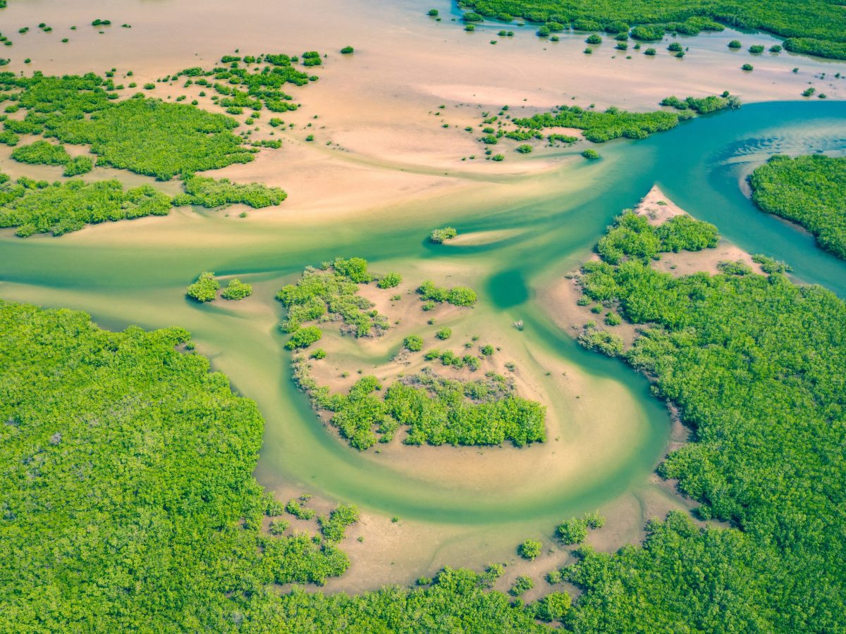 Climate-Resilient Social Protection and Smallholder Finance Partnerships in West Africa: Policy&nbsp;Options