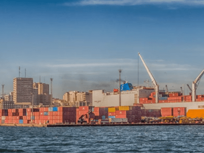 The Role of Progressive Taxation and Social Protection Systems: The Case of West African&nbsp;Countries